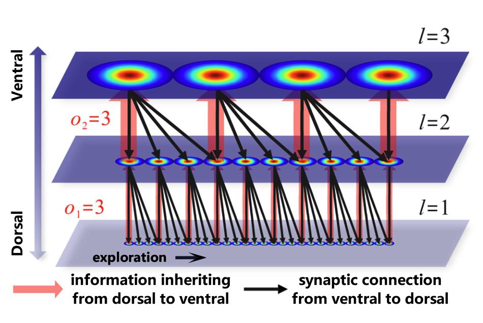 Illustration of Hippocampal Navigation Model